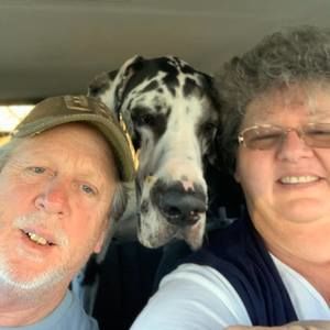 Meet your Posher, Tammy